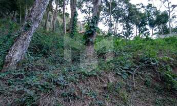 Imagem 2: Terreno residencial à venda, Pedro do Rio, Petrópolis