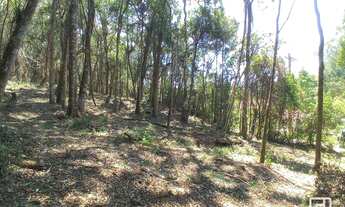 Imagem 4: Terreno à venda, 1940 m² por R$ 280.000,00 - Nova Capivari - Campos do Jordão/SP