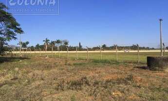 Imagem 3: Limeira - Terreno Padrão - Graminha