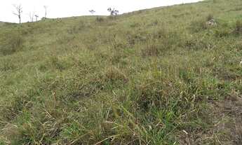 Imagem 4: Lote/Terreno para venda com 1000 metros quadrados em Parque Shangri-lá - Pindamonhangaba