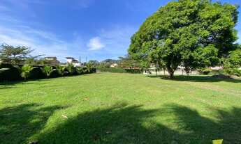 Imagem 2: Lotes de 302 m2 limpos e com documentação OK na estufa 2