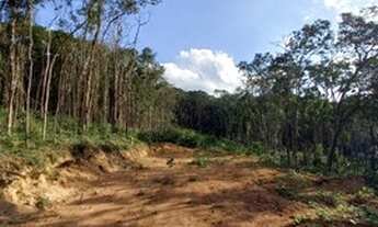 Imagem: 28 Lotes Planos de 500m² em Ibiúna-SP