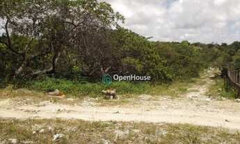 Imagem 3: Terreno Residencial à venda, Praia de Buzios, Nísia Floresta - TE0006