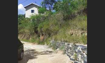 Imagem 4: Terreno serrinha de arrozal