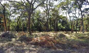 Imagem 4: Imóveis Financiados em Casa Branca. Lotes Comerciais 1.000m²