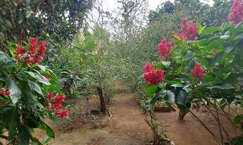 Imagem 7: Buzioz, casa de condomínio para aluguel tem 200 metros quadrados com 2 quartos