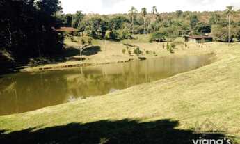 Imagem 4: Paraíba do Sul - Fazenda - Sebolas