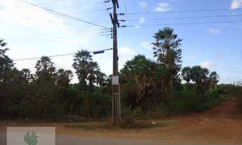 Imagem 7: SI0002 - Sítio à venda, 40000 m² por R$ 450.000,00 - Gereraú - Itaitinga/CE