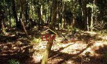 Imagem 4: Terreno à venda, 3000 m² por R$ 292.000 - Ubatumirim - Ubatuba/SP