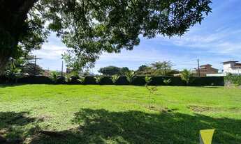 Imagem 3: Lotes de 302 m2 limpos e com documentação OK na estufa 2