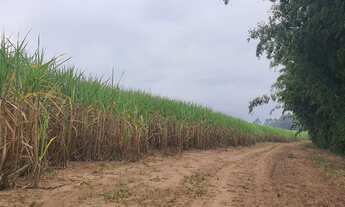 Imagem 1: Sitio 18 alqueires - Ipeúna - SP