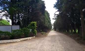 Imagem 5: Chácara residencial à venda, Distrito do Porto, Capela do Alto