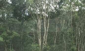 Imagem 2: Lote/Terreno para venda tem 288 metros quadrados em Balneário Londrina - Itapoá - SC