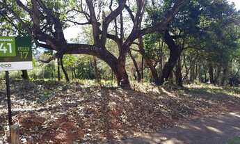 Imagem 2: Imóveis Financiados em Casa Branca. Lotes Comerciais 1.000m²