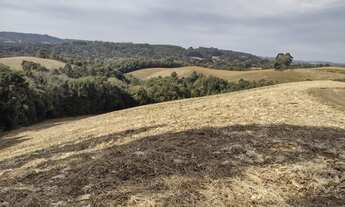 Imagem 6: Terreno rural Terreno / lote com venda por R$290.000