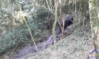 Imagem 6: CHÁCARA FAZENDA SOUZA