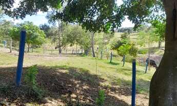 Imagem 3: BELO SÍTIO EM ALEXÂNIA - GO