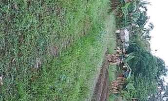 Imagem 3: Vendo casa Casa com 2 dormitórios