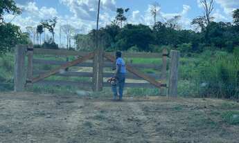 Imagem: Terras a venda candeias do Jamari
