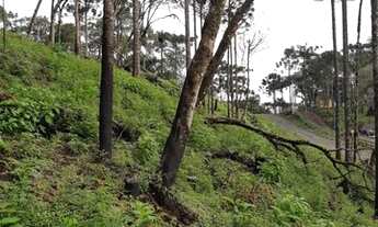 Imagem 2: Urubici - Terreno