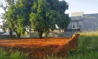 Imagem 2: CANOAS - Terreno Padrão - São José