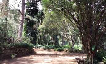 Imagem 3: Sítio no Vale das Videiras - 18 mil m²