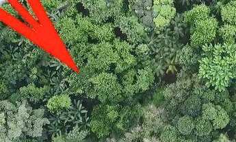 Imagem 3: Área à venda, 7230 m² por R$ 950.000,00 - Sertao da Quina - Ubatuba/SP