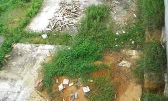 Imagem 3: Casas em área verde