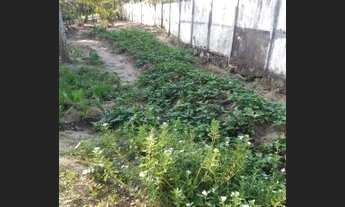 Imagem 4: Sitio em Guaratiba