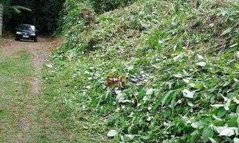 Imagem 2: Terreno à venda, 300 m² por R$ 100.000 - Ubatumirim - Ubatuba/SP