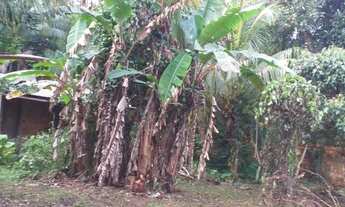 Imagem 2: Terreno em mosqueiro