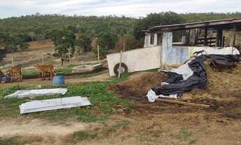 Imagem 7: Fazenda 4 alqueires uruana Goiás