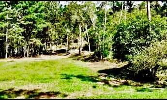 Imagem 4: Terreno com Lago