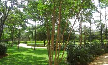 Imagem 7: Apartamento Venda 3 Dormitórios - 264 m² Alto de Pinheiros