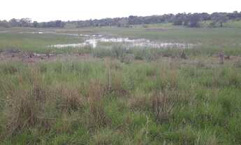 Imagem 3: FAZENDINHAS com Terra roxa, 5x= R$5.600,00 mais parcelas