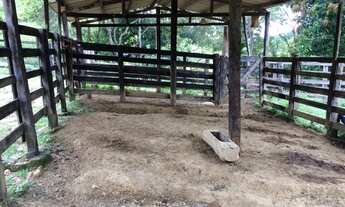 Imagem 5: ÓTIMA FAZENDA NO MUNICÍPIO DE PADRE BERNARDO