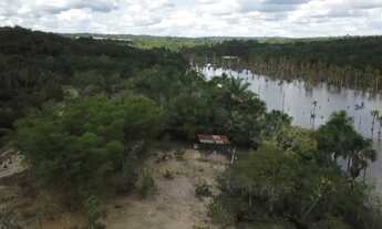 Imagem 3: Terreno BR 174 km 19 fundo pro lago