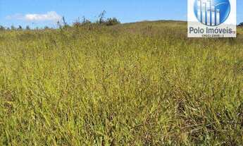 Imagem 3: Sítio 11 Alq. paulista, Para Café, Milho, Soja - Jacuí MG