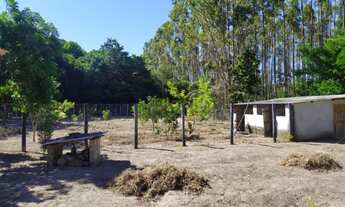Imagem 7: Rancho com 3 dormitórios à venda por R$ 600.000 - Guaratiba - Prado/Bahia