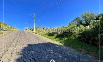 Imagem 6: CAXIAS DO SUL - Terreno Padrão - São Luiz