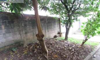 Imagem 3: Casa com excelente localização