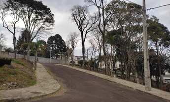 Imagem: GUARAPUAVA - Terreno Padrão - Trianon
