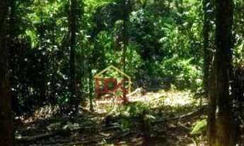 Imagem 3: Terreno à venda, 3000 m² por R$ 292.000 - Ubatumirim - Ubatuba/SP