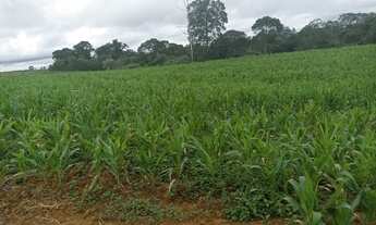 Imagem 2: Lote/Terreno para venda com 500 metros quadrados em Verava - Ibiúna - SP
