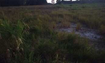 Imagem 2: Terreno industrial com ótima localização ?