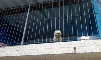 Imagem 4: Sobrado com 2 dormitórios à venda, 140 m² por R$ 600.000,00 - Vila Formosa - São Paulo/SP