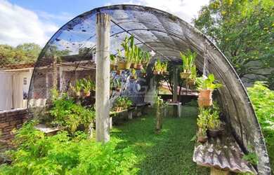 Imagem 6: Porto Alegre - Casa Padrão - Jardim Sabará