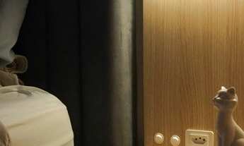 Imagem: Apartamento - Padrão - Venda - Itacorubi