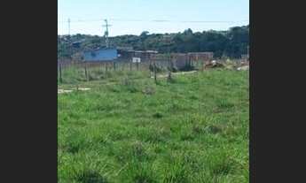 Imagem 5: Dois lote búzios pelo valor de 1