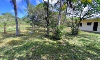 Imagem 7: Chácara com escritura, 1.000m2, apenas 145mil